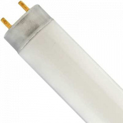 Fluorescent Bulb - 48" - 28 W - T8 / FO28/841XP/SS/ECO