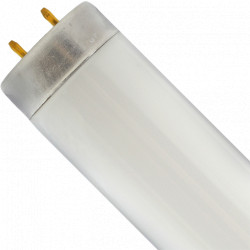 Fluorescent Bulb - 48" - 40 W - T12 / F40CWX