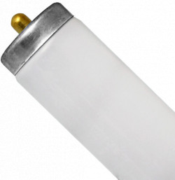 Fluorescent Bulb - 96" - 60 W - T12 / F96T12/CW/SS