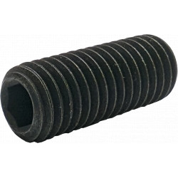 Socket Set Screws M12-30 CUP