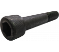 Hex Socket Cap Screws M20-120 2.5