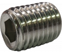 Socket Set Screws 34-1 Stainless Steel