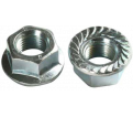 Serrated Locking Flange Nuts / ZINC - #10-32