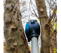 XGT 40V 10" Telescopic Pole Chainsaw Kit