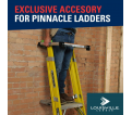 Platform Ladder Gate