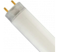 Fluorescent Bulb - 48" - 28 W - T8 / FO28/841XP/SS/ECO