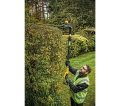 20V Max* Pole Hedge Trimmer