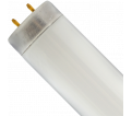 Fluorescent Bulb - 48" - 40 W - T12 / F40CWX