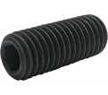 Socket Set Screws M12-30 CUP