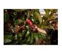 M12™ Brushless Pruning Shears