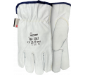 Van Goat Winter Leather Gloves / 9547